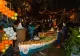 Halloween la Zoo Călărași 2026: intrare gratuită, concursuri de costume, laser show și film în aer liber