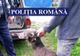 Bărbat reținut de polițiști pentru braconaj cinegetic