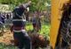 Cal scos de pompieri dintr-o groapă de peste 2 metri